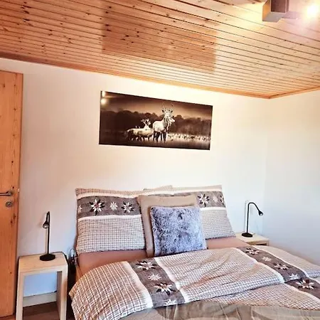 Chalet A Proximite Des Remontees Mecaniques